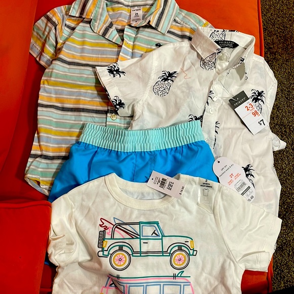 Size 2T 2 short sleeve button down, swimming trunk, sleeveless tank. - Picture 1 of 6